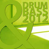 Drum & Bass 2012 by Various Artists mp3 download