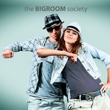 The Bigroom Society by Various Artists mp3 download