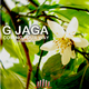 G Jaga Coming Your Way G Jaga Coming Your Way