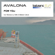 Avalona For You