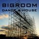 Various Artists Bigroom Dance & House