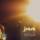 J Sasz Wish