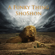 Shoshon A Funky Thing