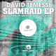 David Temessi Slamraid