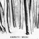 Various Artists Ambient Music