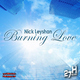 Nick Leyshan Burning Love