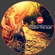 Physical Phase Feat. Tina Kay Touch the Sun