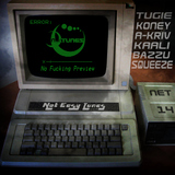 No Fuckin Preview by Various Artists mp3 download