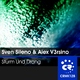Sven Sileno & Alex V3rsino - Sturm Und Drang