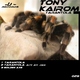 Tony Kairom Tarantola Tony Kairom Tarantola