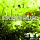 Sirenhouse Joik