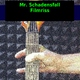 Mr.Schadensfall Filmriss Mr.Schadensfall Filmriss