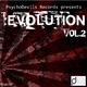 Various Artists  - Evolution Volume 2