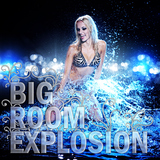 Bigroom Explosion by Various Artists mp3 download