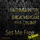 Maximilian Tux & Erick Mercuri feat. Dhany Set Me Free the Remixes