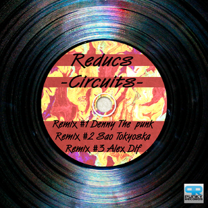 Reducs  - Circuits (Punky Records)
