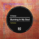 R.Varez Burning in My Soul - The Remixes