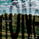 Rafa Escuin - None Rafa Escuin - None