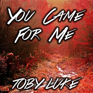 Toby Luke - You Came for Me (Kimmel Records)