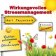 Kurt Tepperwein - Selbsthilfe: Wirkungsvolles Stressmanagement (Erfolgsgeheimisse und Gl&uuml;cksrezepte)