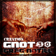 Greg Notill - Creation Greg Notill - Creation