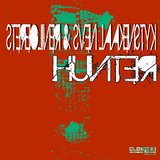 Hunter by Stereoliner & Sven Laakenstyk mp3 download