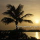 Various Artists - Chill House Music Caf&eacute; Vol.3