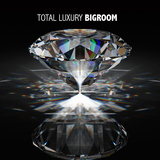 Total Luxury Bigroom by Various Artists mp3 download