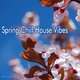 Various Artists - Spring Chill House Vibes