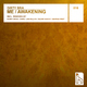 Dirty Bra - Awakening