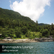 Calling Euterpe Brahmaputra Lounge