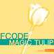 Fcode Magic Tulip Fcode Magic Tulip