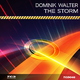 Dominik Walter The Storm