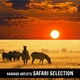Various Artists - Safari Selection Various Artists - Safari Selection