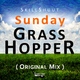 Skillshuut - Sunday Grasshopper Original Mix