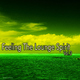 Various Artists - Feeling the Lounge Spirit, Vol. 3