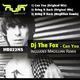DJ the Fox - Can You