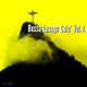 Various Artists - Bossa Lounge Caf&eacute;, Vol. 4