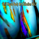 Various Artists - Chill House Body Art Collection, Vol.2