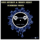 One Spirit & Moon Shot - Summers Voice
