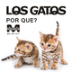 Los Gatos - Por Que? Los Gatos - Por Que?