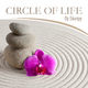Dj - Skorpy Circle of Life