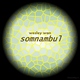 Wesley Wan - Somnambul Wesley Wan - Somnambul