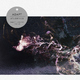 Adapt - Atlantico