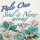 Palc One - Soul Is Never Wrong