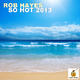Rob Hayes - So Hot 2013