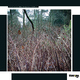 Tucker Zimmerman October Mornings Tucker Zimmerman October Mornings