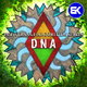 The Strange Algorithm Series - DNA