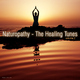 Various Artists Naturopathy - the Healing Tunes Vol.2 Various Artists Naturopathy - the Healing Tunes Vol.2