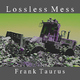Frank Taurus Lossless Mess